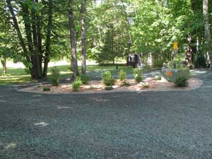 landscaping after